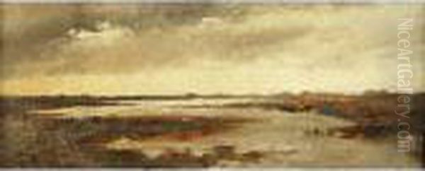 Laguna - view 1