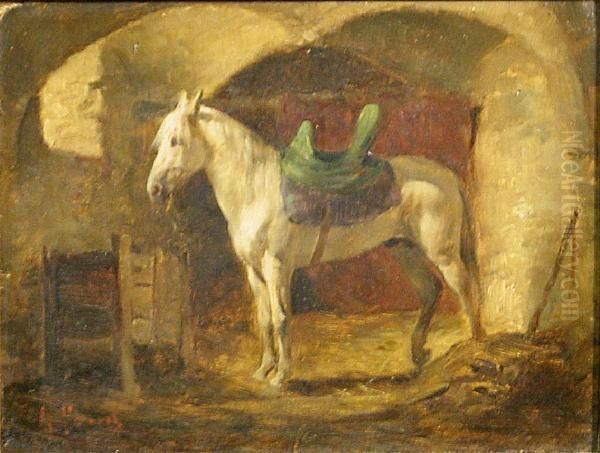 A White Horse In A Stable - view 1