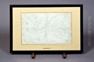 Paysage De Foret