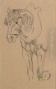 Study Of A Horse