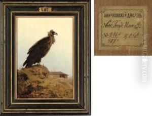 A Cinereous Vulture In Balkan Lands A Cinereous Vulture In Balkan Lands