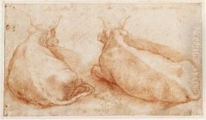 Two Studies Of Cows Resting by Polidoro Da Caravaggio (Caldara)