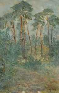 Waldlandschaft by Hugo Poll