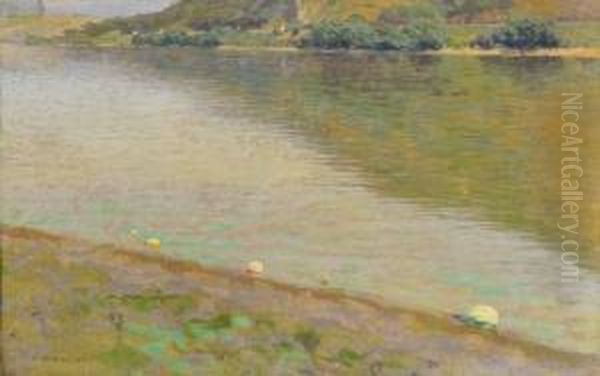 River Danube - view 1