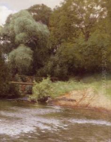 Park With A Bridge - view 1