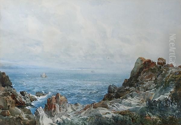 View Of Anglesey Coast, Skerries In The Distance - view 1