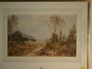 Dune With Trees And Distant Bay