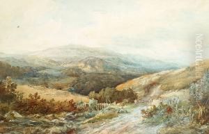 In Mountain Pastures
