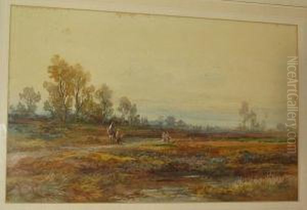 Evening At Little Budworth, Cheshire - view 1