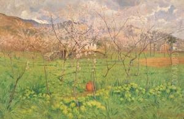 Paesaggio Primaverile - view 1