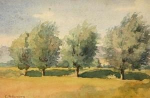 Senza Titolo by Carlo Pollonera