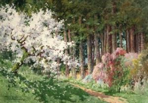 Fioritura Estiva by Carlo Pollonera