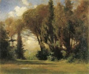 Luci Tra Gli Alberi by Carlo Pollonera