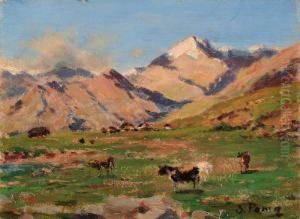 Val Sambuco