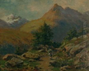 Paesaggio Di Montagna Con Contadino