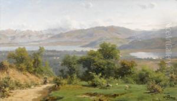 Lago Di Alserio - view 1