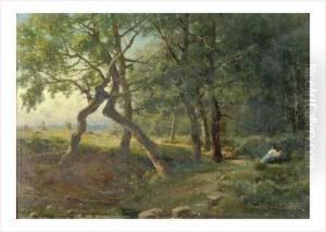 Lisiere De Bois A Chaponost