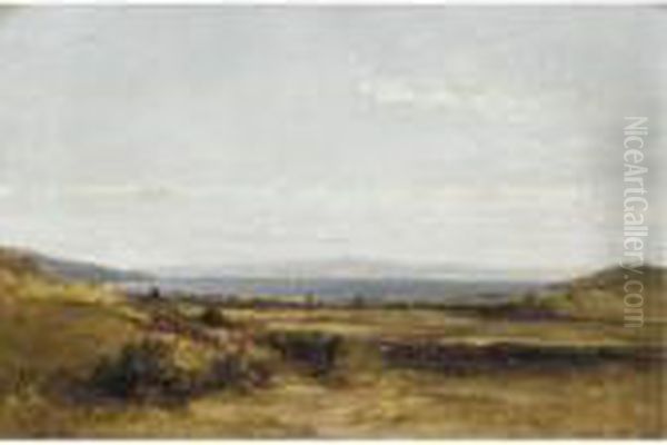 Coastal View - view 1