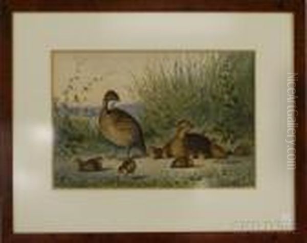 Game Birds In The Rough - view 1