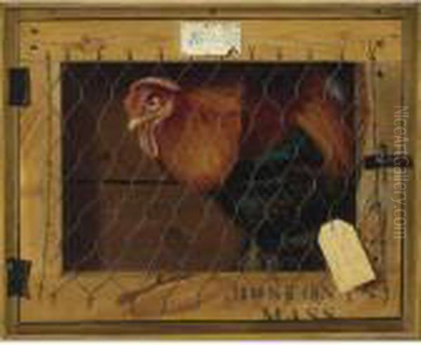 Rooster In Transit - view 1