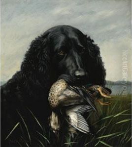 Great Grandfather's "sport" : A Labrador Retriever