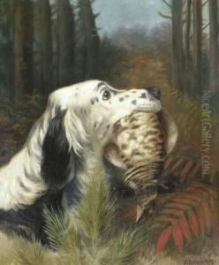 An English Setter With A Partridge