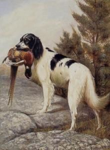 Hunting Dog With Pheasant by Alexander Pope