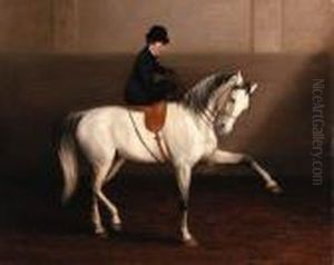The Morning Lesson, A Lady On Her Grey Horse by Alexander Pope