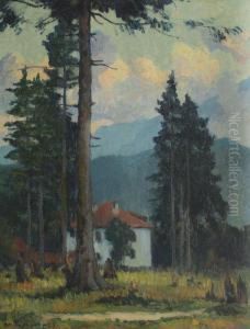 Peisaj Din Predeal by Stefan Popescu