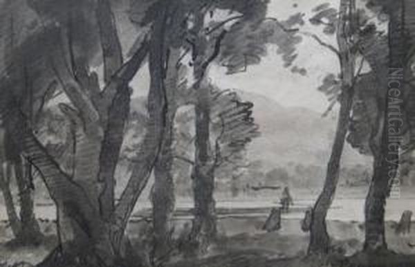 Copaci Pe Malul Apei - view 1