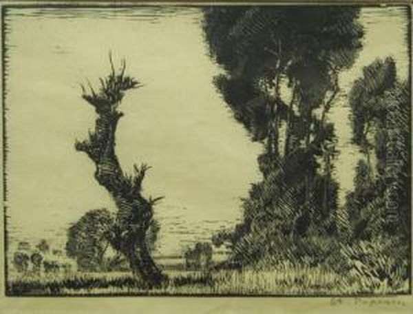 "copaci" - view 1