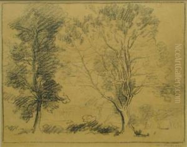 Copaci - view 1