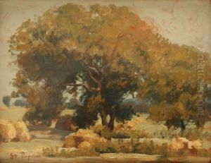 Under The Shadow Of Nut Trees by Stefan Popescu