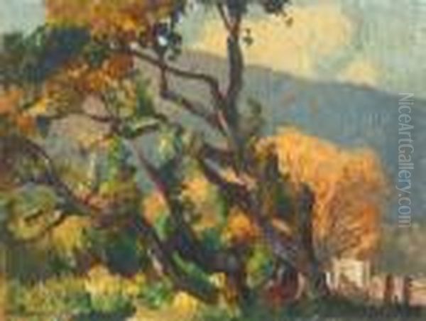 Early Autumn - view 1