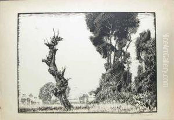 In Lunca - view 1