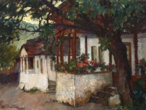 The Flower Veranda by Stefan Popescu