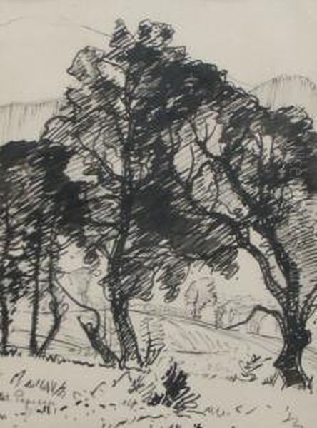 Trees - view 1