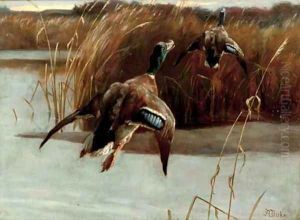 Taking flight by Alfred Duke