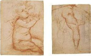 Study Of The Christ Child Suckling by (Giovanni Antonio de' Sacchis) Pordenone