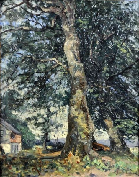 Houvegnez - view 1