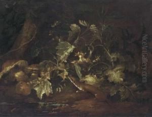 A Forest Floor Still Life With A Stoat Beside A Pool A Forest Floor Still Life With A Stoat Beside A Pool