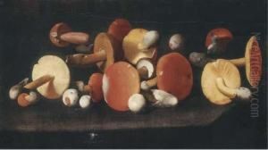 Boletus, Russulas And Other Mushrooms On A Ledge by Paolo Porpora