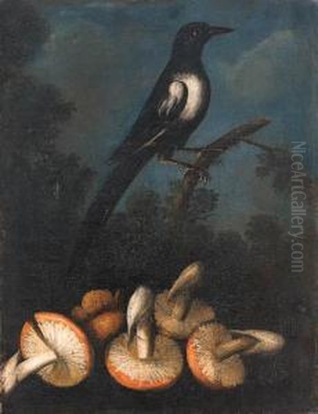 A Magpie Perched On A Branch With Fungi In The Foreground - view 1