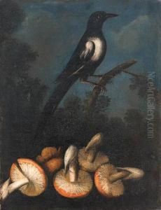 A Magpie Perched On A Branch With Fungi In The Foreground