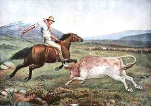 Mustering Cattle on the Bogong High Plains A Rough Customer by Davis, J.