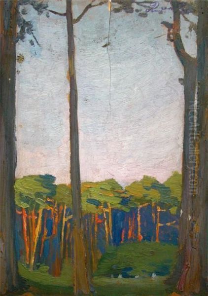Kiefernwald - view 1
