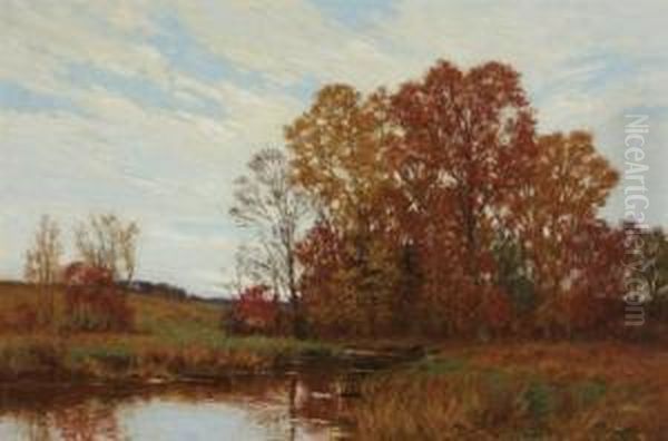 River In An Autumn Landscape - view 1
