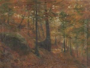 A Wooded Landscape