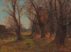 Autumn Trees