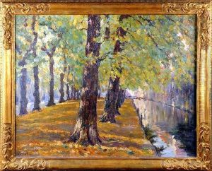 [canal Arbore]